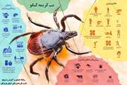 هشدار بهداشتی دامپزشکی، در خصوص مراقبت از ابتلا به بیماری تب خونریزی دهنده کریمه کنگو (CCHF) به همه ی افراد جامعه